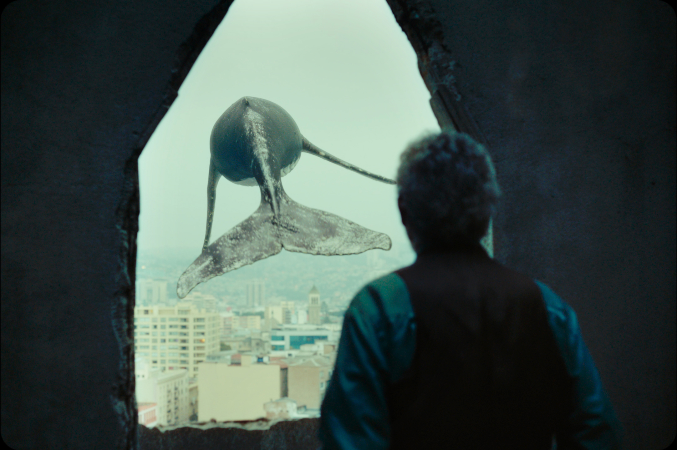 LOS VERSOS DEL OLVIDO